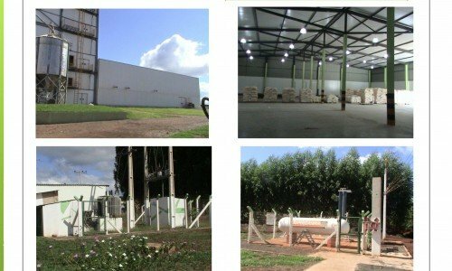 Vendo indústria de alimentos derivados de milho e outros – GO