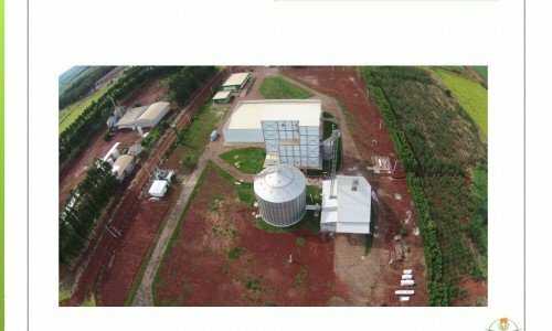Vendo indústria de alimentos derivados de milho e outros – GO