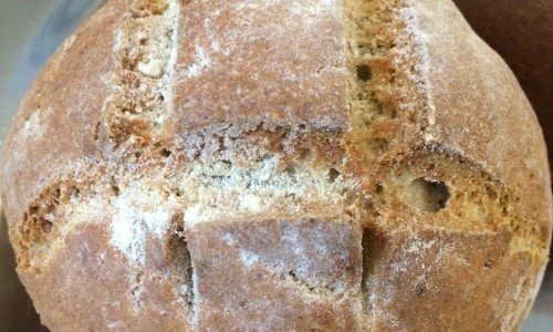 Fábrica de Pães sem Glúten e sem Lactose