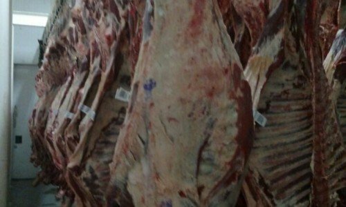Fazenda 60000 hectares