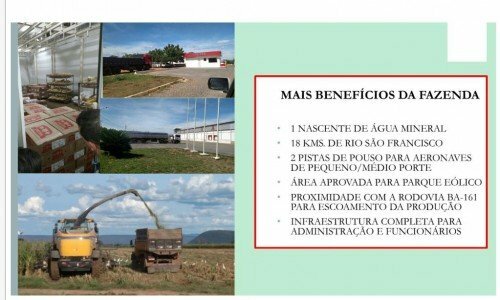 Fazenda 60000 hectares