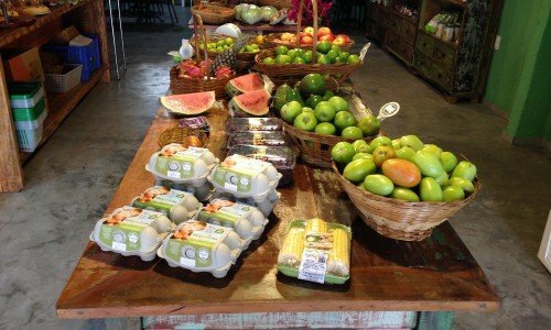 Negócio inovador na área de alimentação saudável