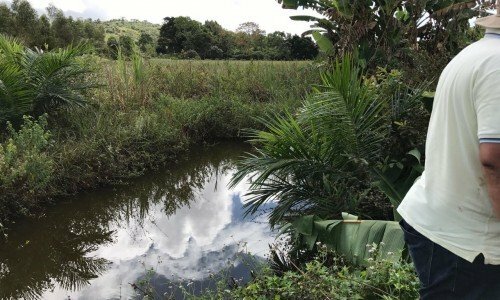 SITIO EM TANCREDO NEVES