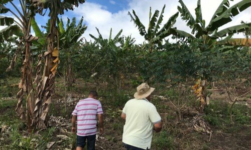 SITIO EM TANCREDO NEVES