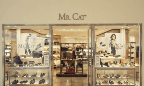 Franquia Mr cat