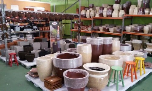 Loja de Plantas Ornamentais