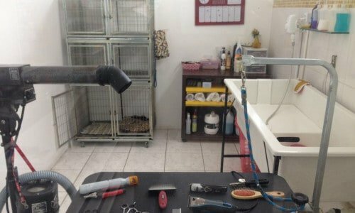 Vendo lindo pet shop