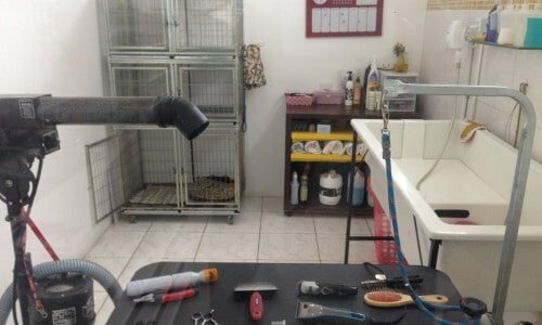 Vendo lindo pet shop