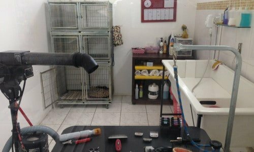 Vendo lindo pet shop