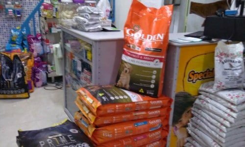 Lindo PET SHOP em Guarulhos