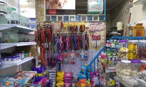 Lindo PET SHOP em Guarulhos