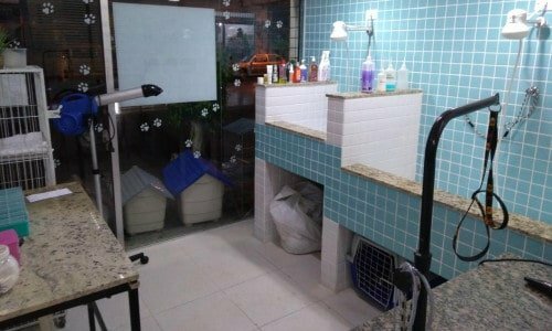Lindo PET SHOP em Guarulhos