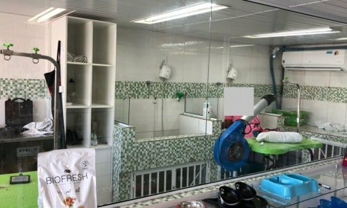 Pet Shop, Clínica Veterinária na Avenida das Américas