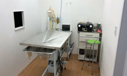 Pet Shop, Clínica Veterinária na Avenida das Américas