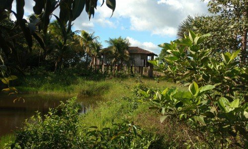 Fazenda São Benedito