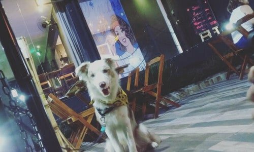 Bar e Espetaria em Santos