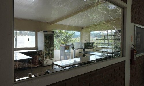 Padaria Orgânica