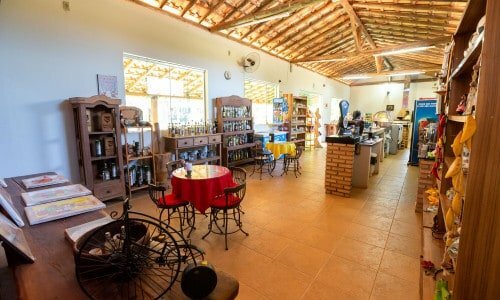Restaurante e Terreno MG050