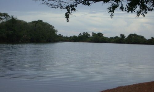 Fazenda de Granden Porte
