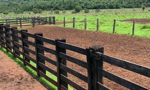 FAZENDA PARA PECUÁRIA