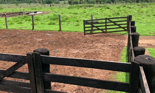 FAZENDA PARA PECUÁRIA