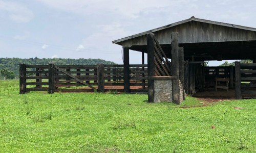 FAZENDA PARA PECUÁRIA