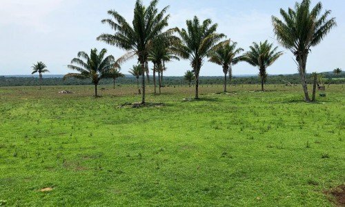 FAZENDA PARA PECUÁRIA