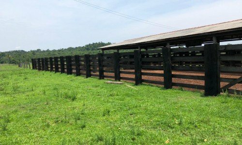 FAZENDA PARA PECUÁRIA