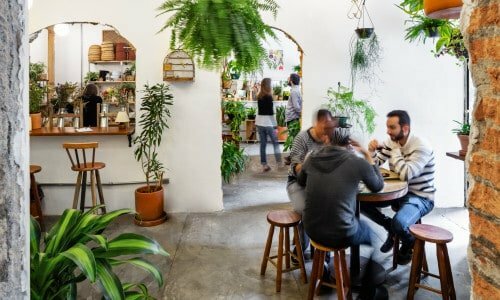Imperdível Café e Plantas