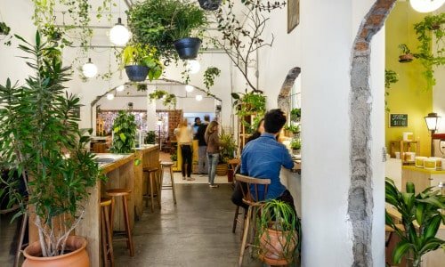 Imperdível Café e Plantas