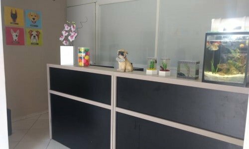 Pet Shop Banho e Tosa em excelente localização