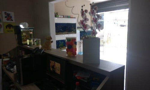 Pet Shop Banho e Tosa em excelente localização