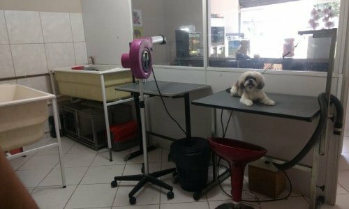 Pet Shop Banho e Tosa em excelente localização
