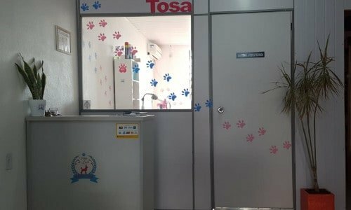 Banho e tosa
