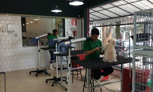 Hora do Banho Pet Shop