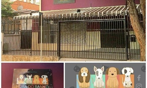Hora do Banho Pet Shop
