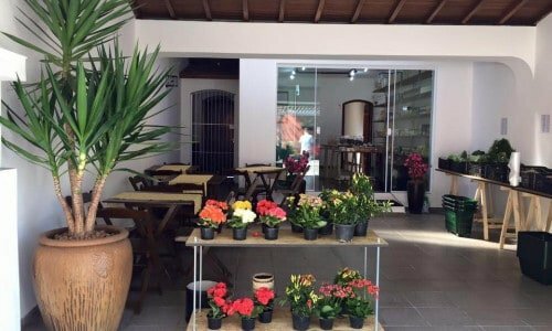 Loja de Produtos Orgânicos e Naturais