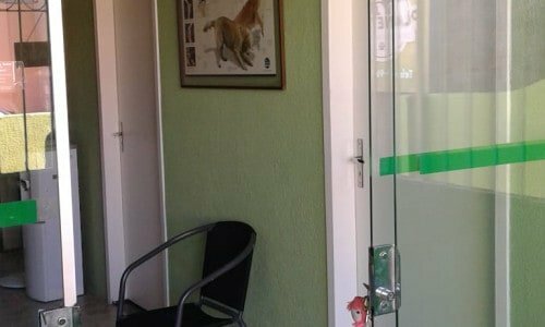Clinica veterinária