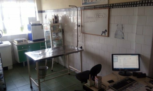 PetShop  Veterinária