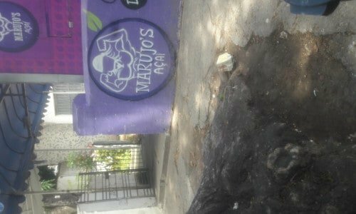 Vendo foodtruck açai