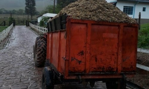 Venda de Laticínio