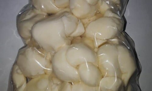 Venda de Laticínio
