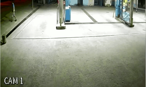 Compressor gnv