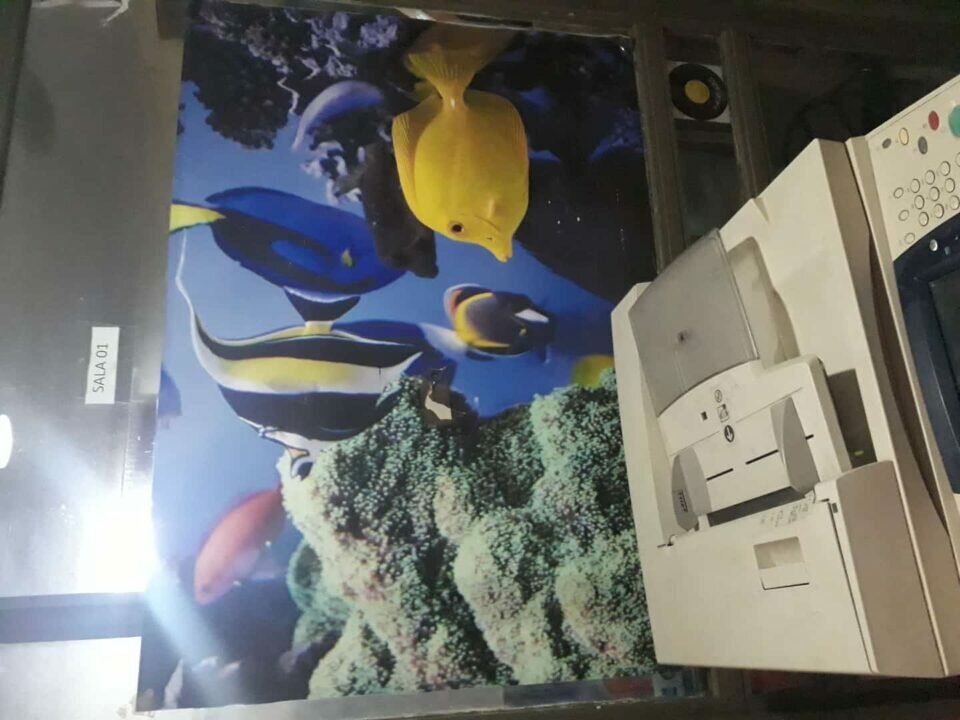 Franquia de Reforço Escolar