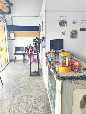 Vende – se Pet Shop com Consultorio Montado