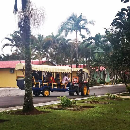 POUSADA RURAL EM FAZENDA DE 100 ALQUEIRES