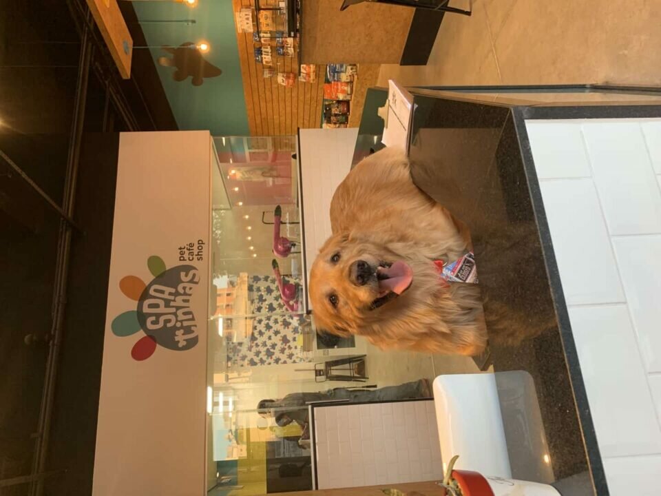 Pet Café Shop