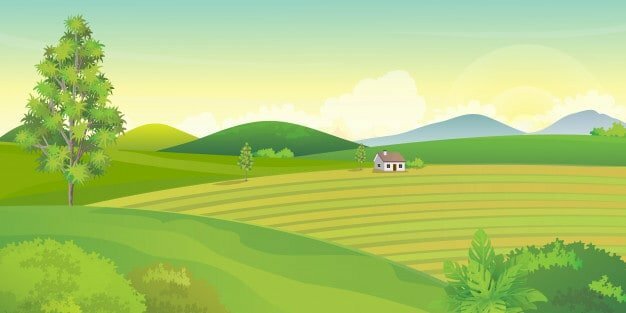 Imobiliaria Rural