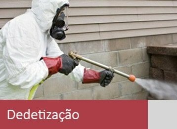 Empresa de Dedetização – Controle de Pragas na Grande SP