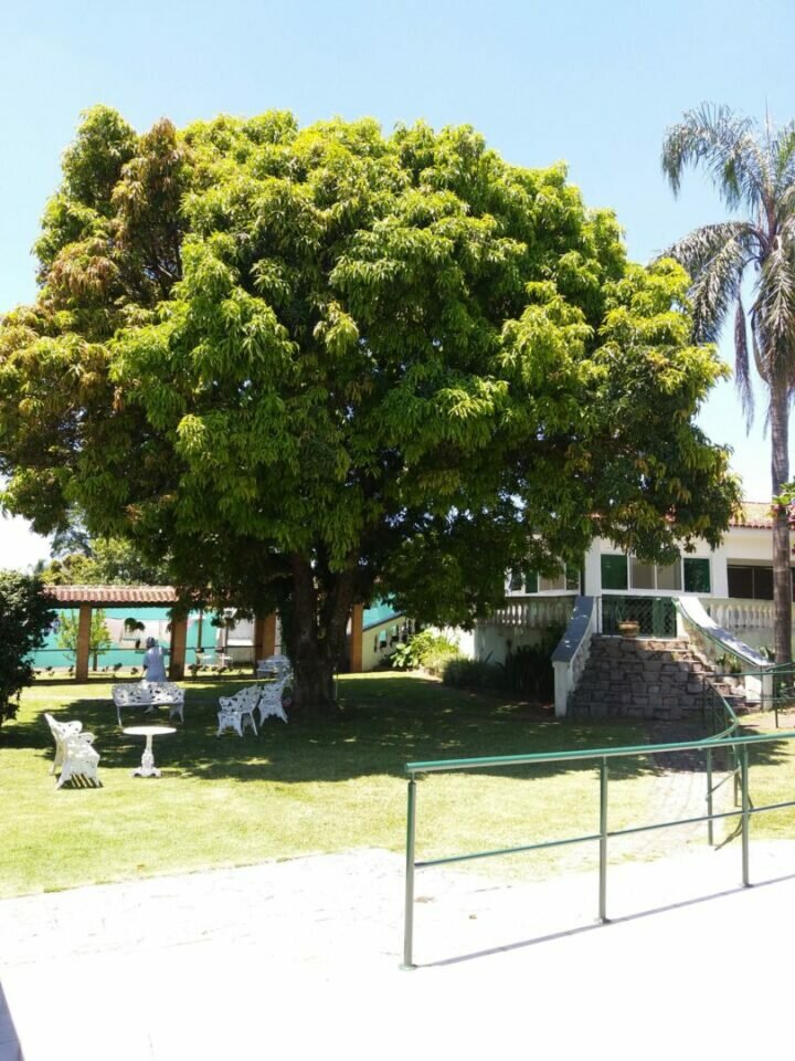 Casa de Repouso, Clinica para idosos, ILPI